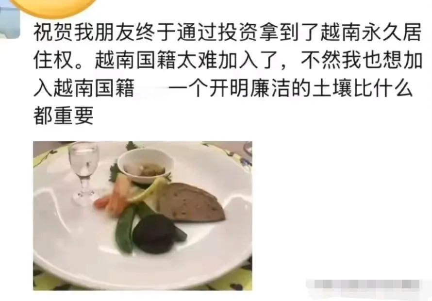 第一次听说越南难移民。他说的越南是不是另一个时空的超级强国？
艾玛，现在欧美收紧