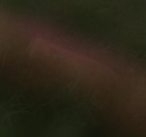 世界之大，无奇不有，一法国24岁男子发现一枚一战遗留的炮弹，此人相当奇葩，不知道