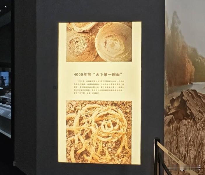 全世界最早的一碗面，出锅在青海
2002年，青海民和喇（lǎ）家遗址，考古队员掀