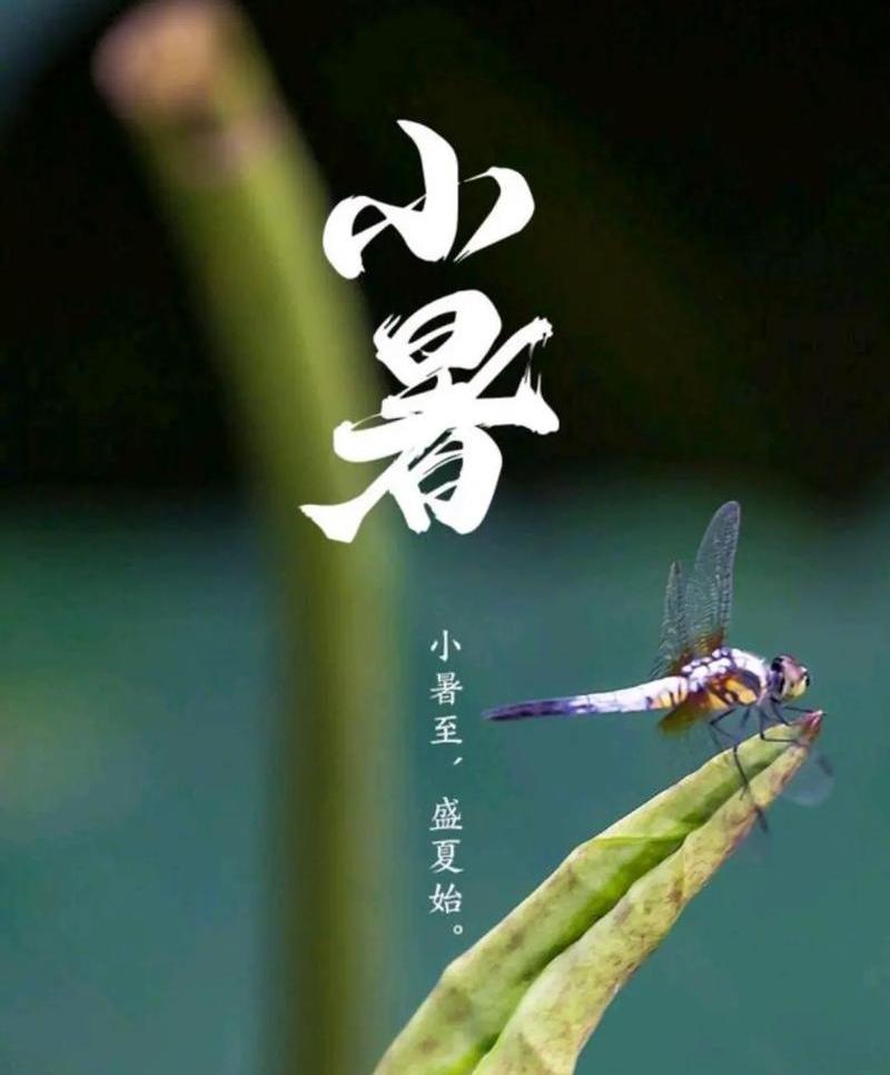 小暑——《生活浅吟》之九十六
不经意间，今天就是小暑节气了，小暑一到，这天气又增