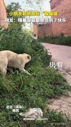 哎呀妈呀老铁们，这画面也太暖心治愈了！
农村小娃娃跟自家狗子玩躲猫猫，狗子可太通