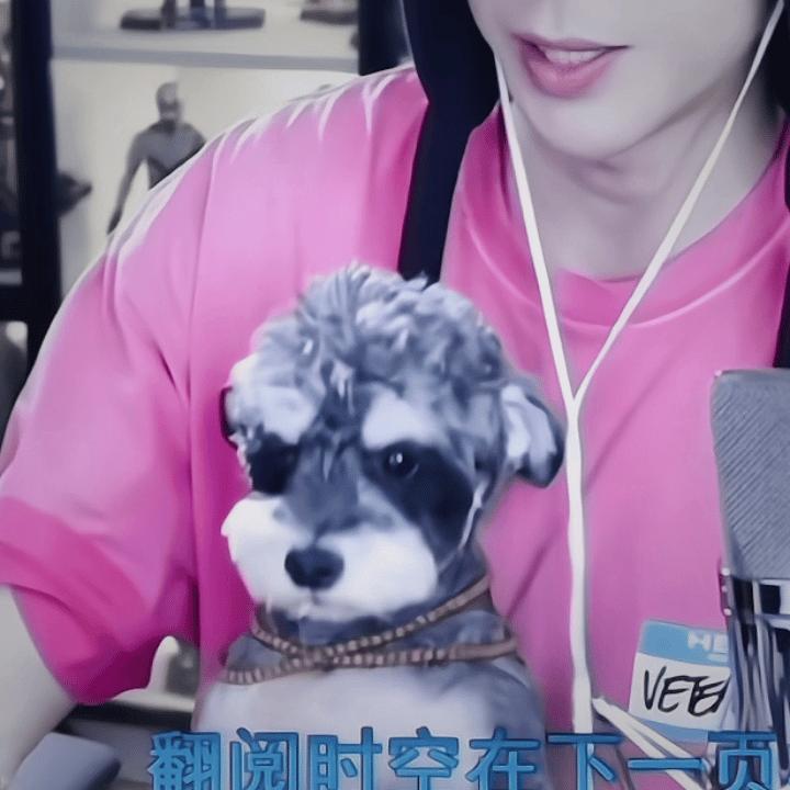 睡懵了的呆米，萌萌的～摩登兄弟。没睡够的小狗潦草样