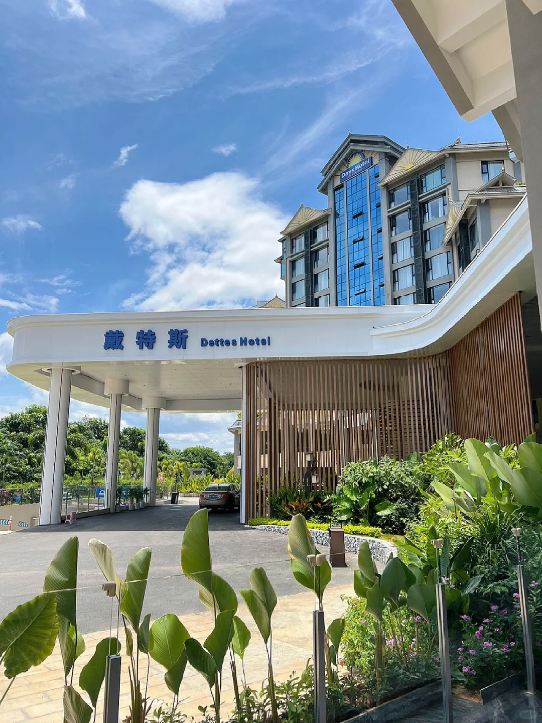 西双版纳特种兵之旅🔥酒店篇 Day6