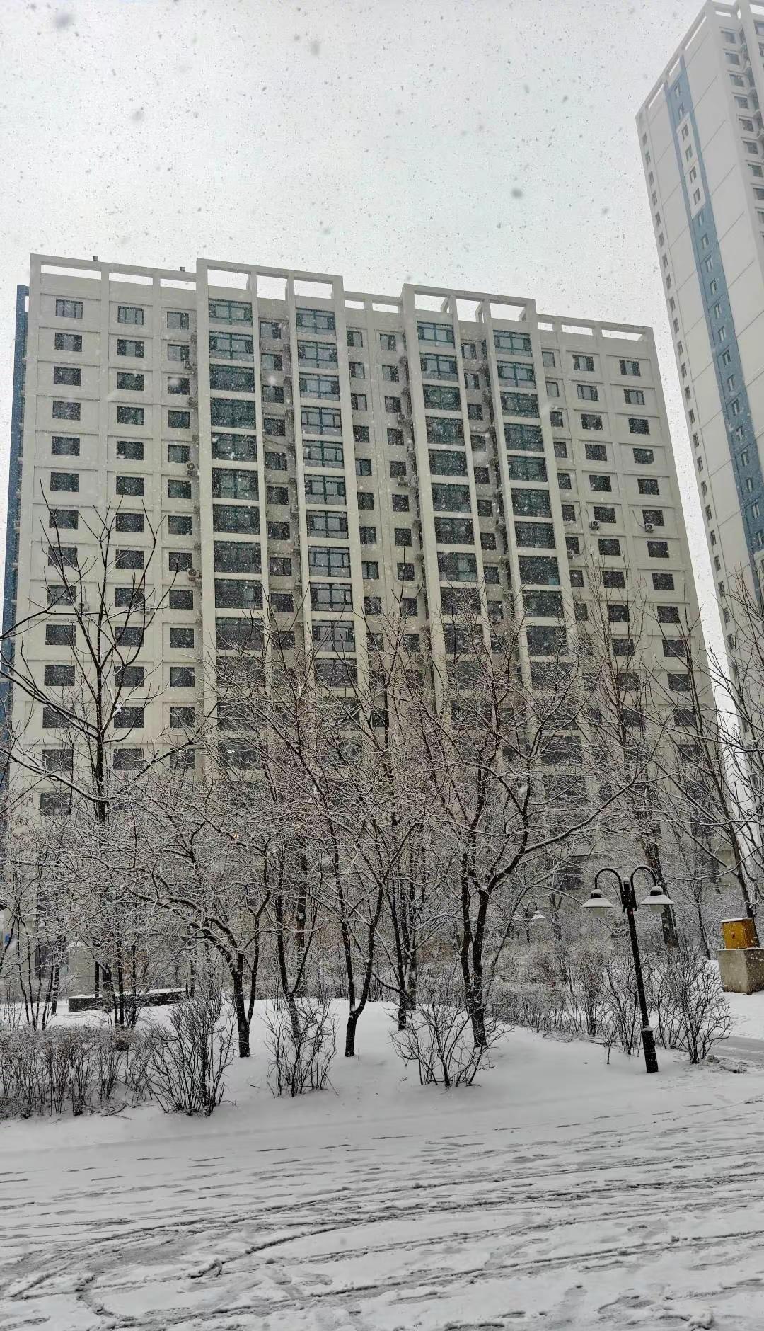 四月，冬季延续的哈尔滨 这哪里是开春失败，这是冬季在此树起的权威！