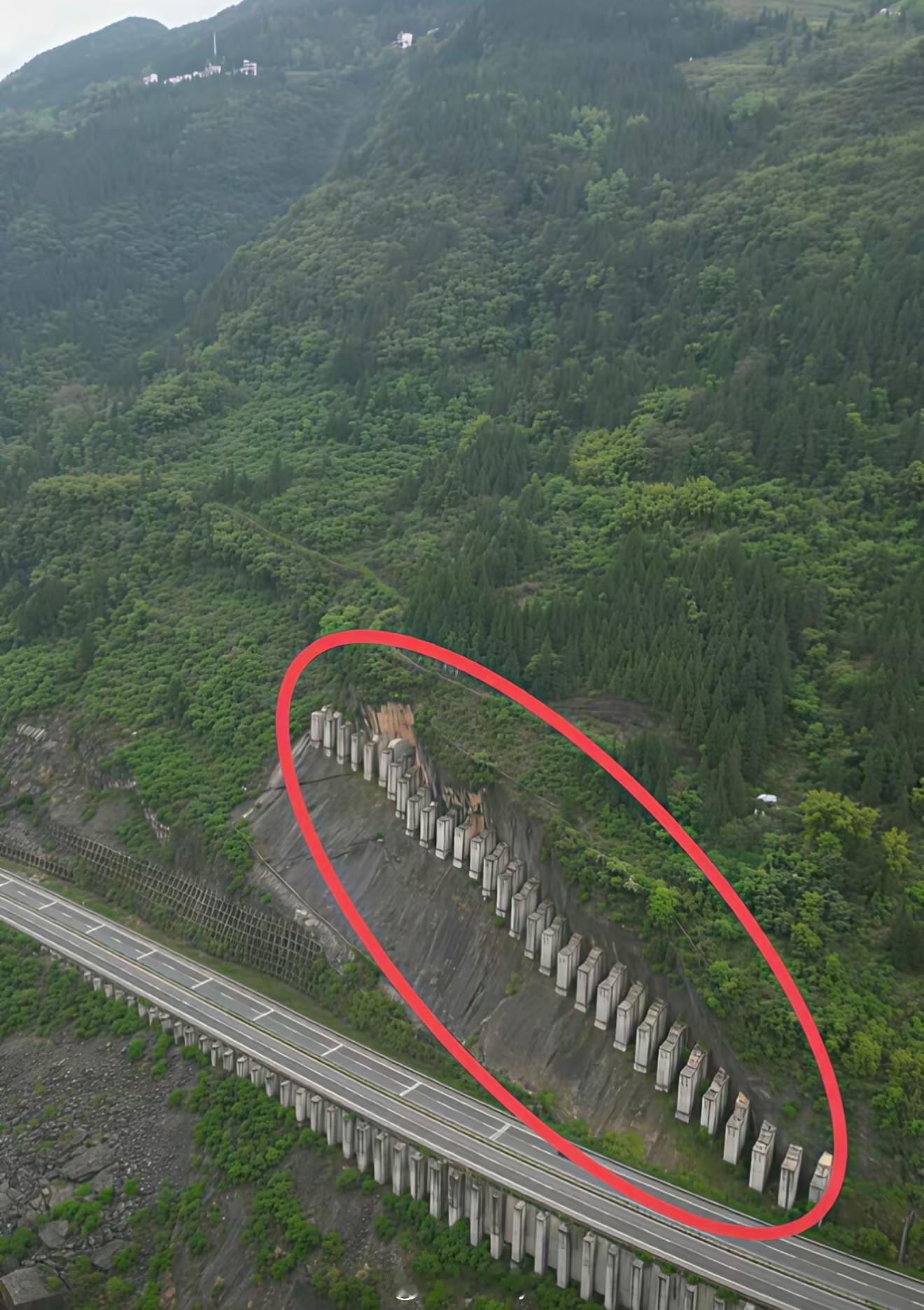 这个桩是做什么用的？大家来评论区说说 