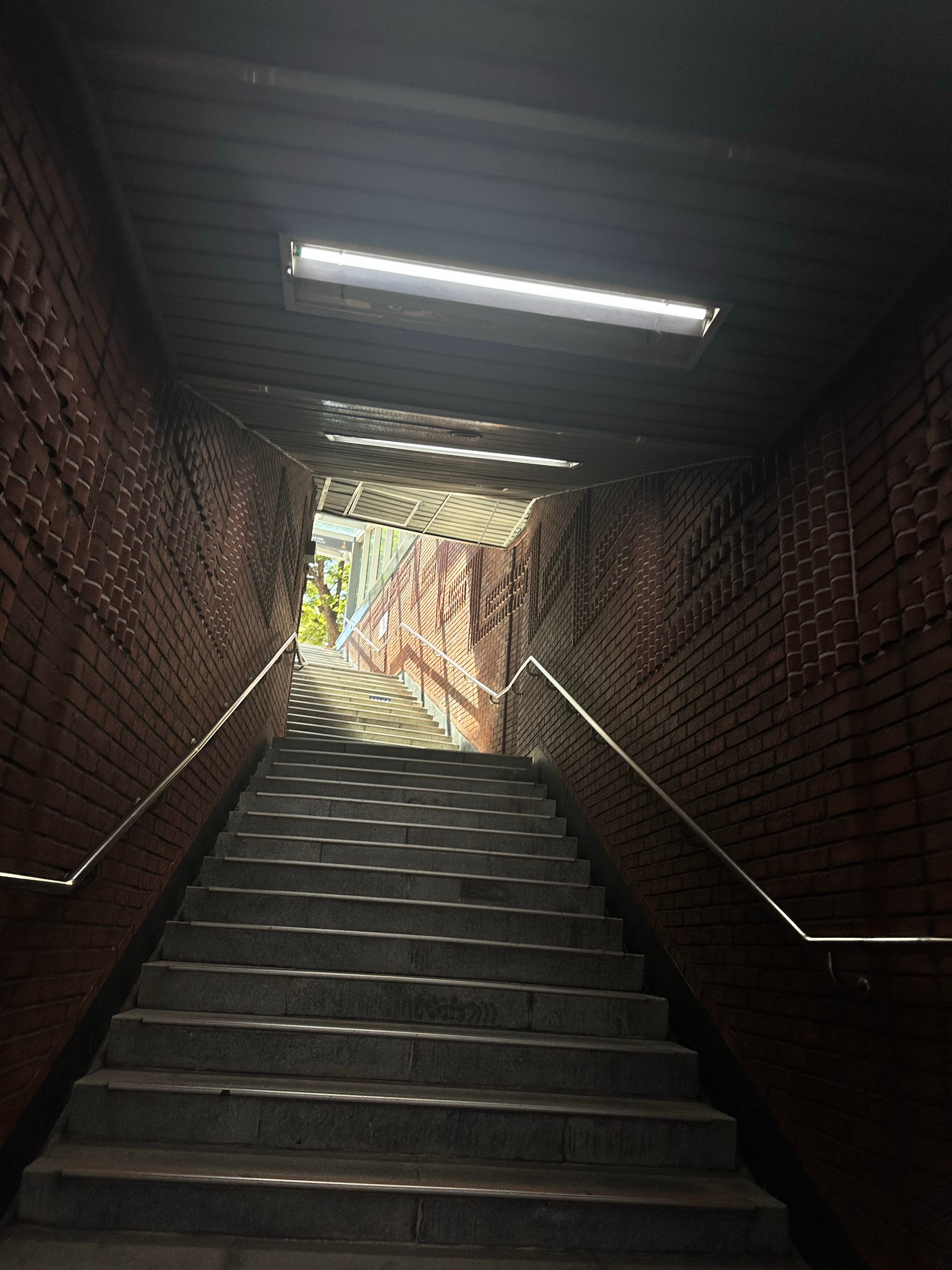 写周记时候发现这个忘记发了真的好森林童话那种感觉 