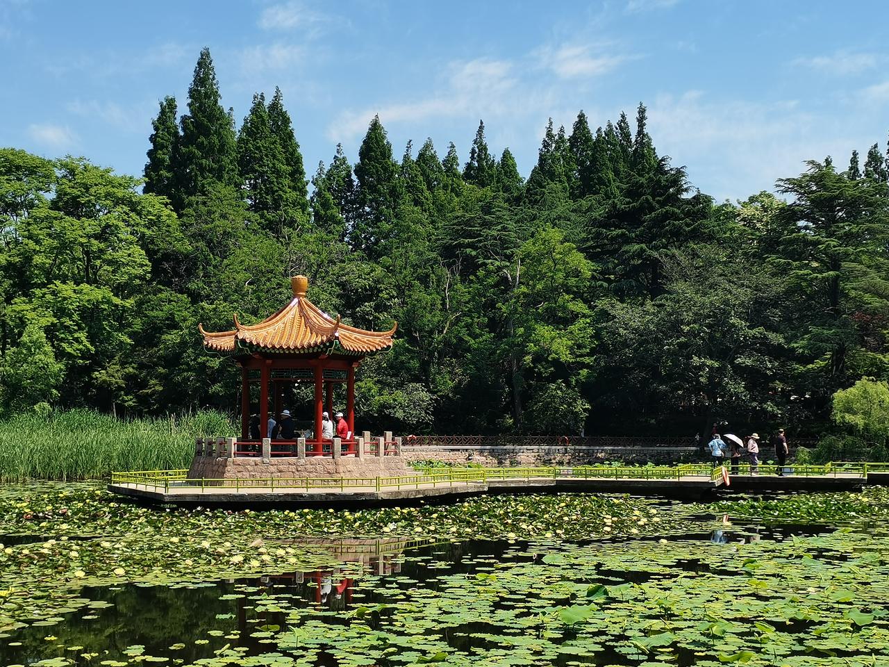 上世纪六七十年代一个月开30元的工资就能养活起码一个人。
到茶炉打一暖瓶开水一分