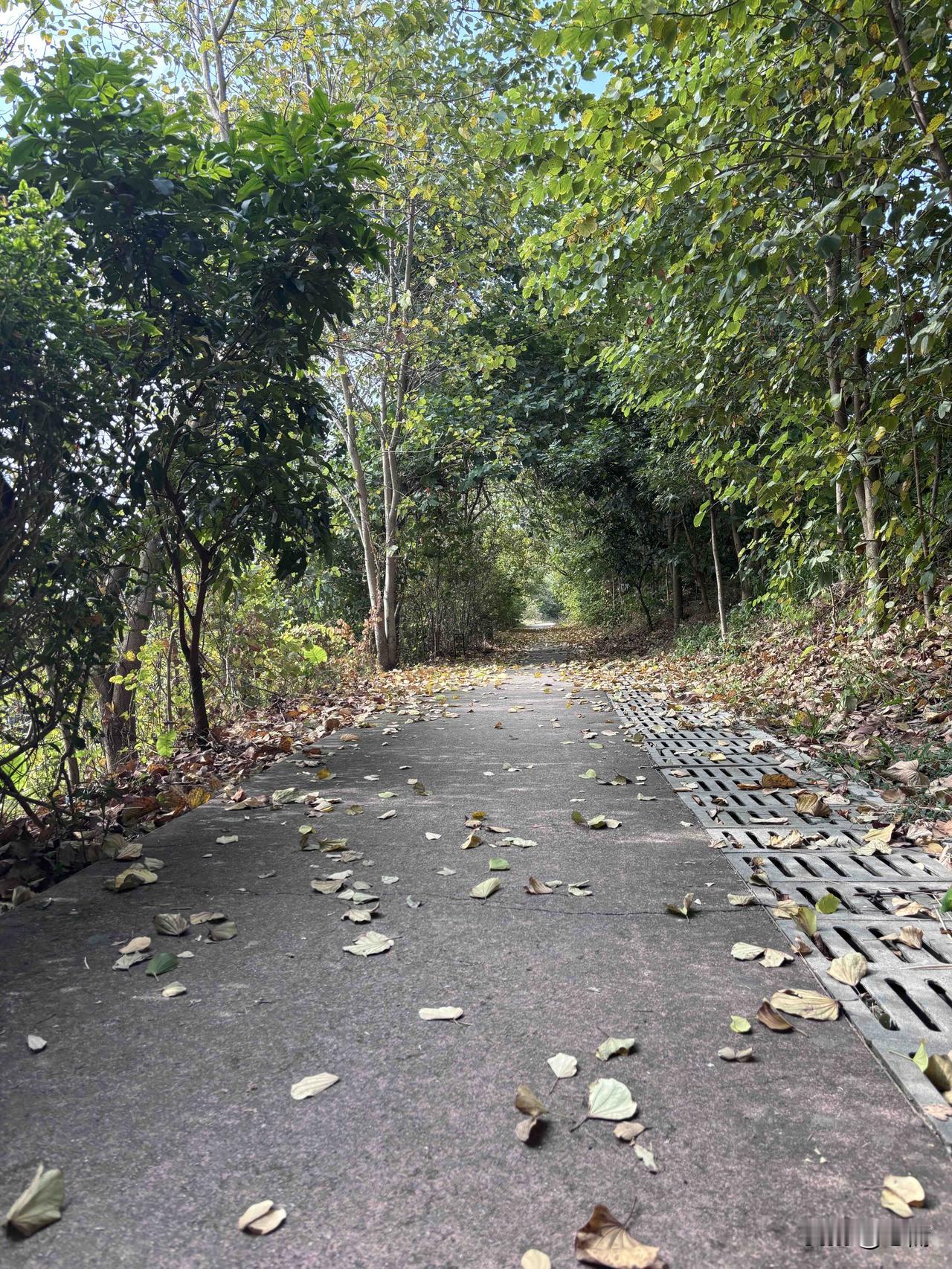 看到这样的说法很有意思。

美国建国以来做的最失误的两件事就是：
1，把钱学森放