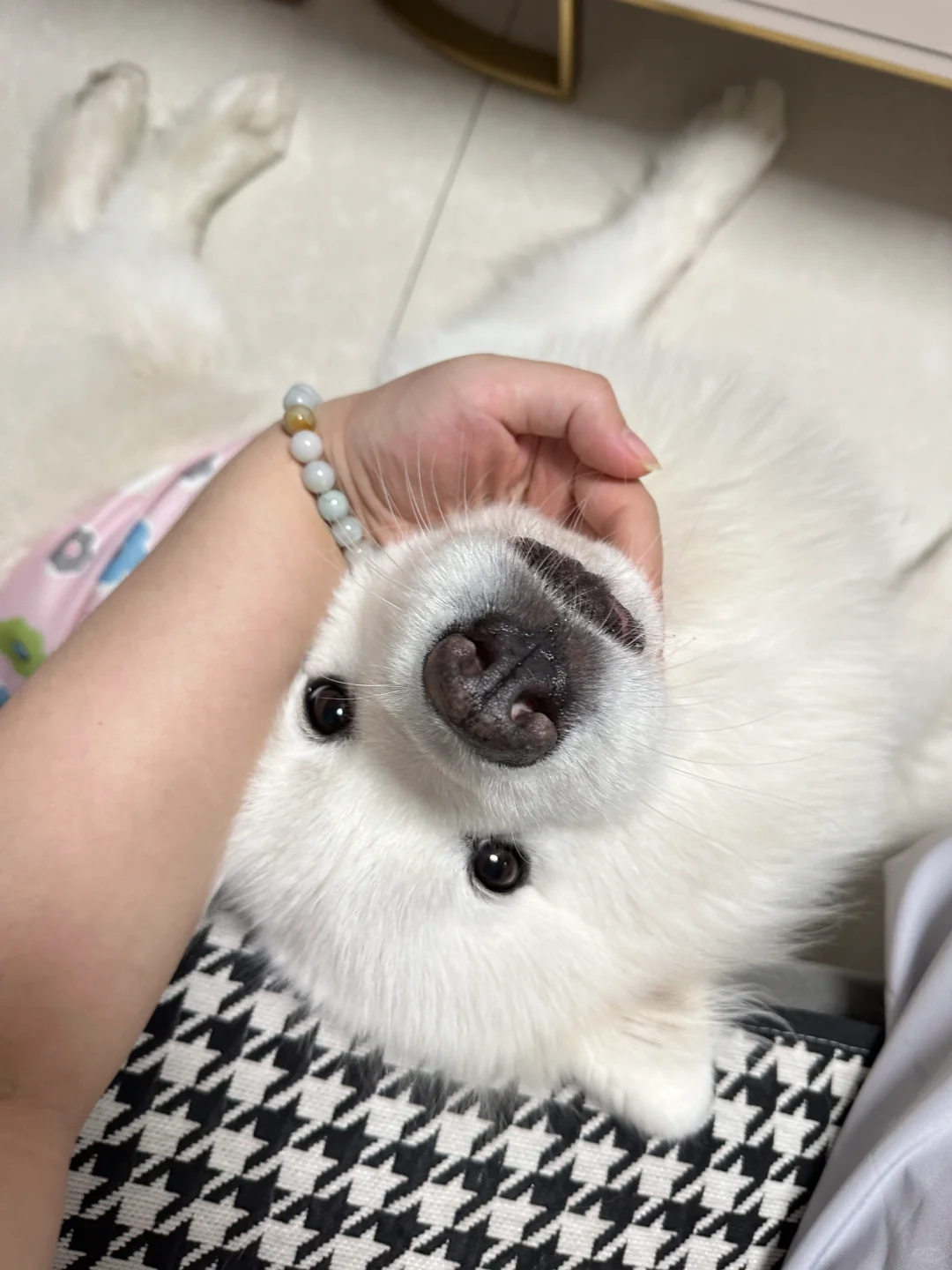 宝宝~你是一只小熊🧸