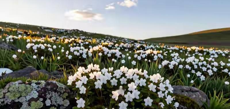 分享一张你拍的美景照片