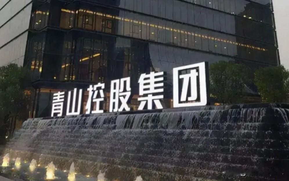 这两天找了些资料，总算有点明白几年前发生的青山大战嘉能可的事情了。
青山是新的世