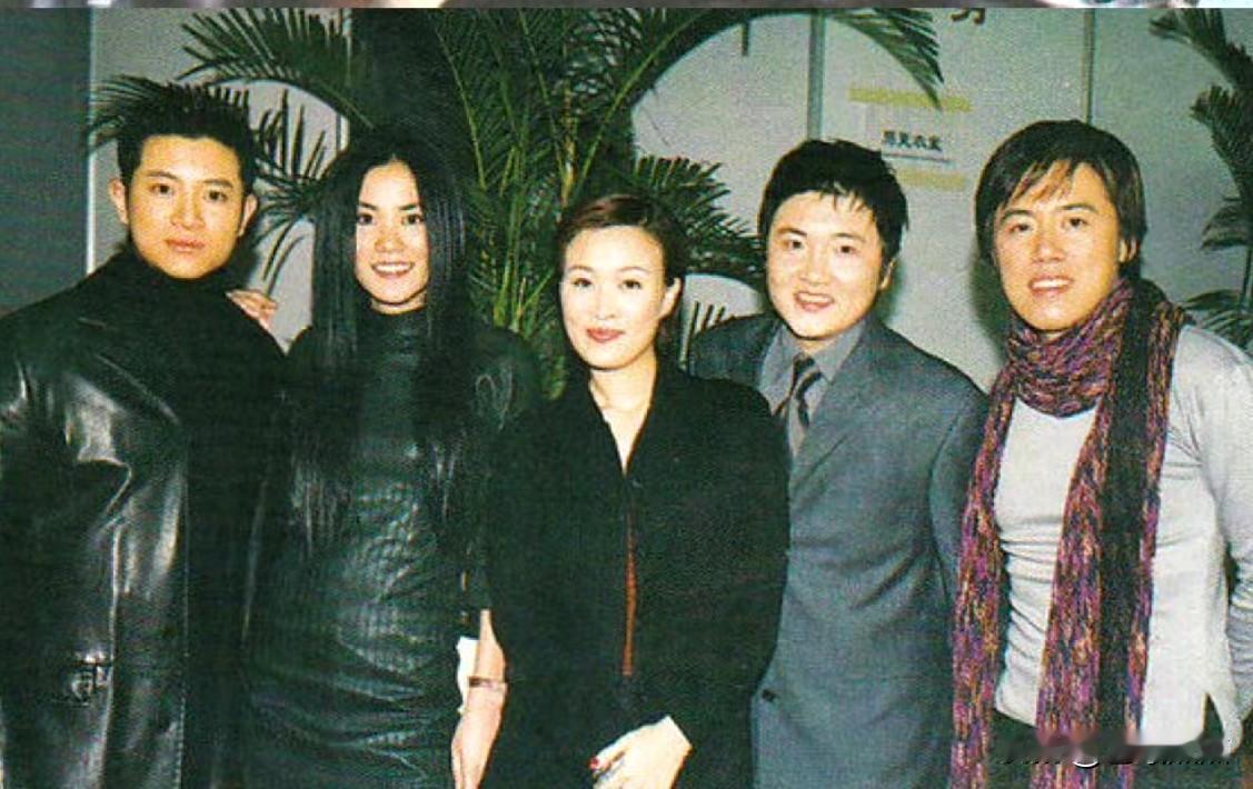 上世纪九十年代的乐坛可谓是神仙打架，“星光灿烂”啊。
如今看这五位著名歌星彼年的