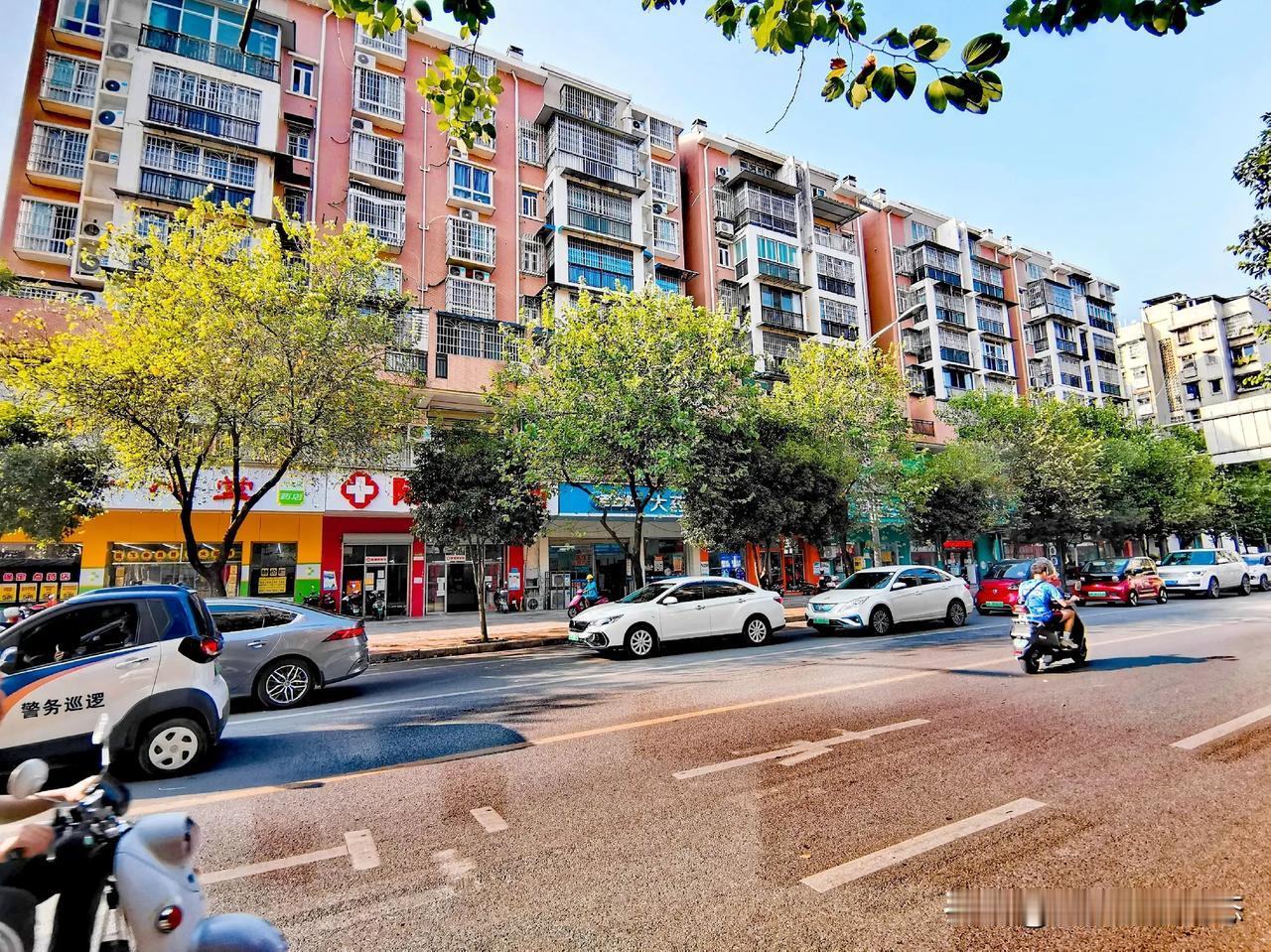 柳州这几年不仅螺蛳粉店在增长
发现药店也同样增长了很多家
在市区里随便一条路都能