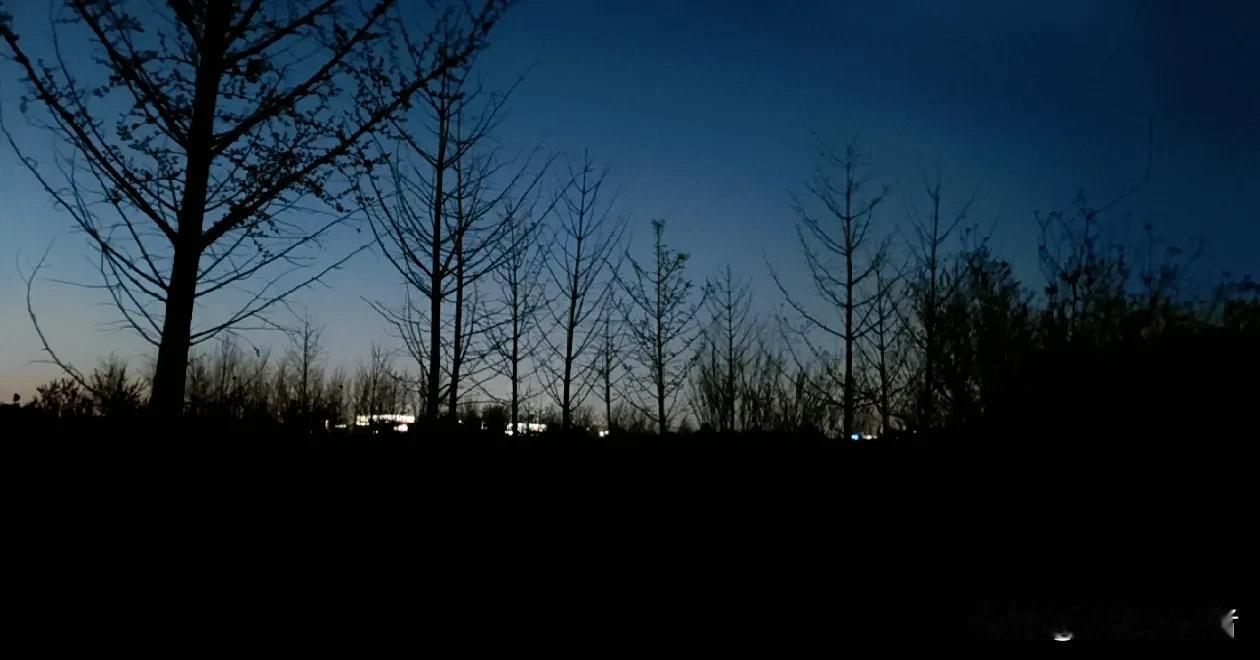 有人在奋斗中寻找价值，有人在陪伴中感受幸福，生活的意义由自己定义，在于用心体验每