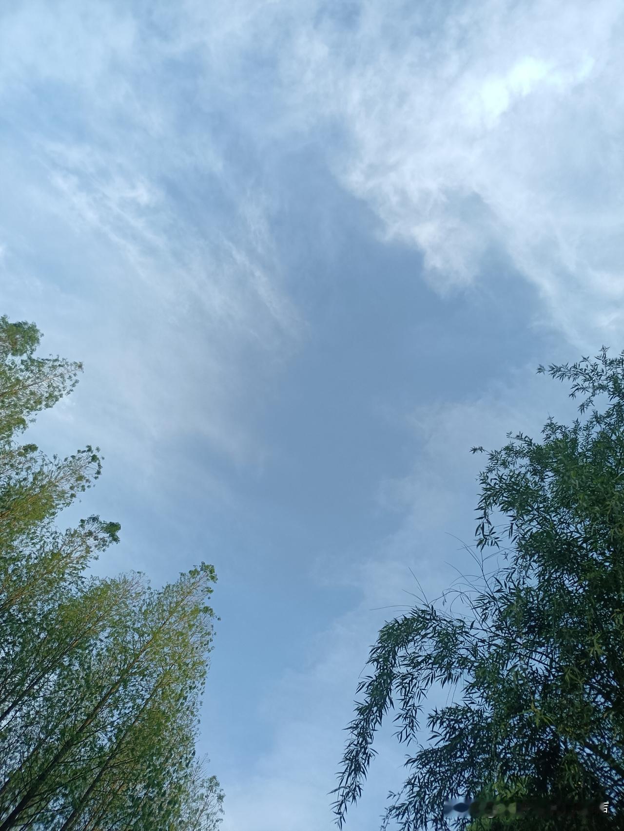 没想到全世界股市都在创新高或在创新高的路上，咋这么强势呢？

曾记得三月份时有人