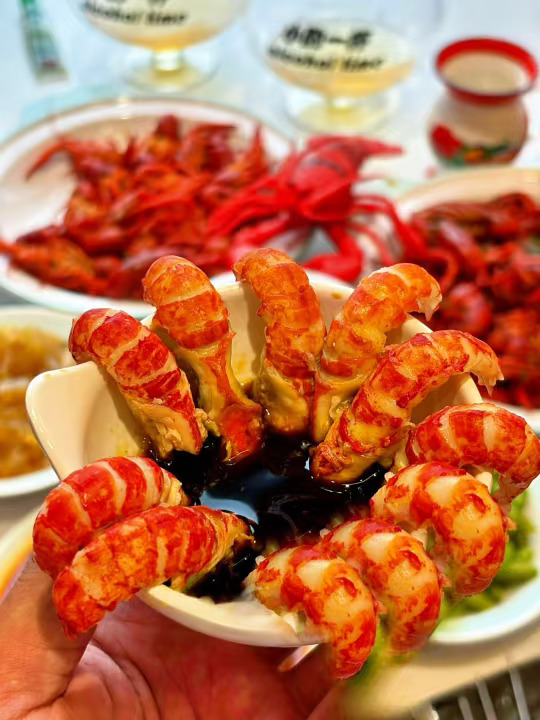 南京还是太超前...龙虾我先吃上啦