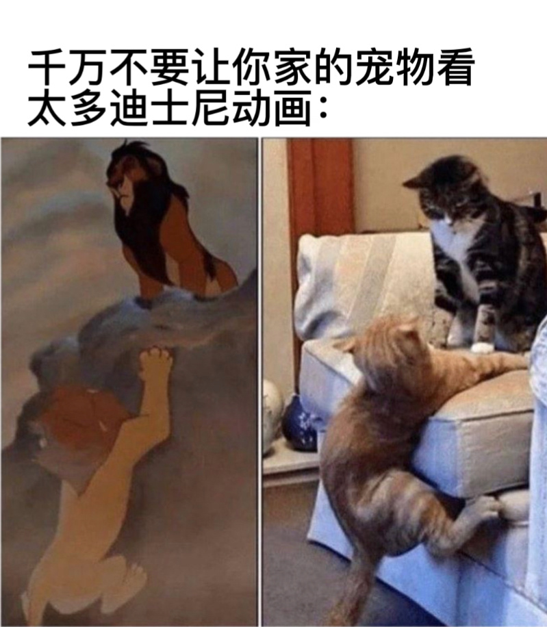 请勿模仿#今日memes# //#v笑年度大赏# ​​​
