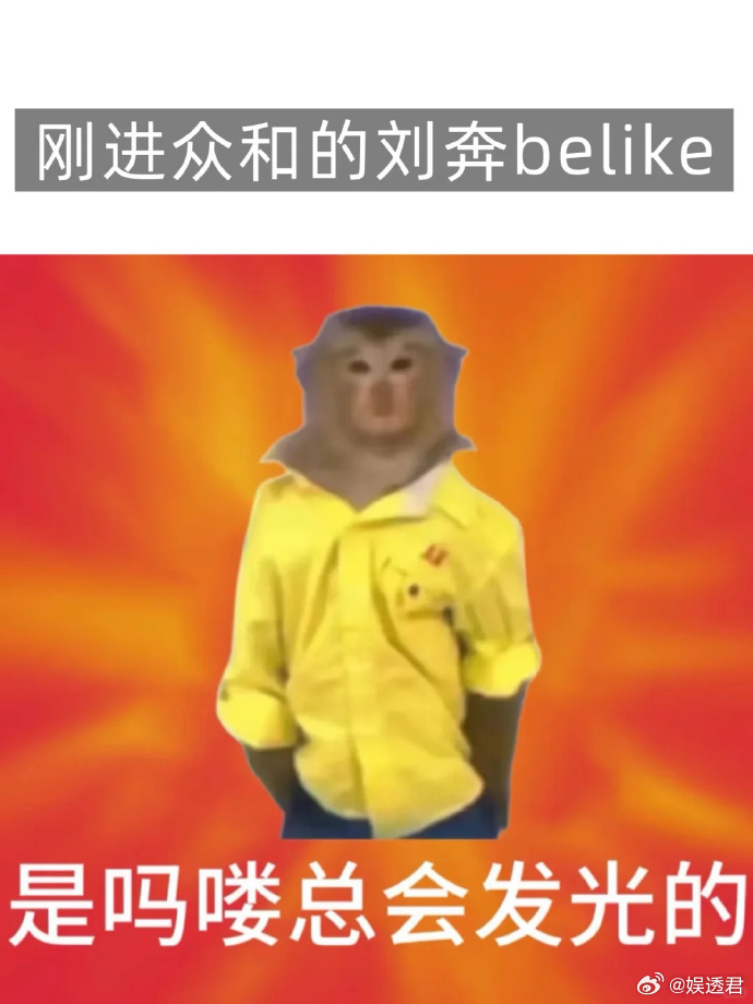 没有动物受到伤害除了猴子的心没想到猴子打工起来都很专业现在提到年会不能停2，脑子