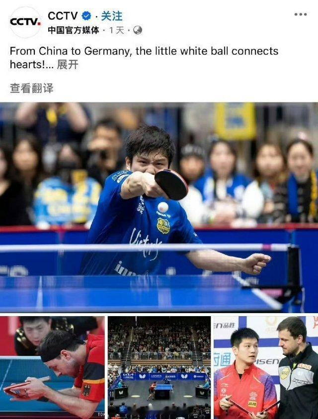 CCTV报道樊振东波尔的友情识英雄重英雄与惺惺相惜这两个满满中国味的词语顿时具象