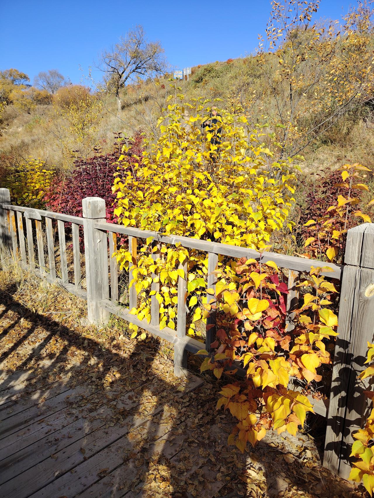 曾经的美食，以后再也不敢吃了！[害羞][害羞][害羞]

因为肠胃不适去拿药，这