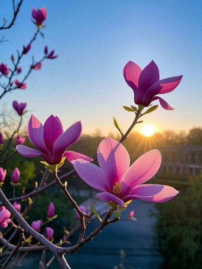 沉默很贵 
要留给最懂的倾听
眼泪很贵
 要流给最刻骨的感动
让锋芒收起
 铠甲