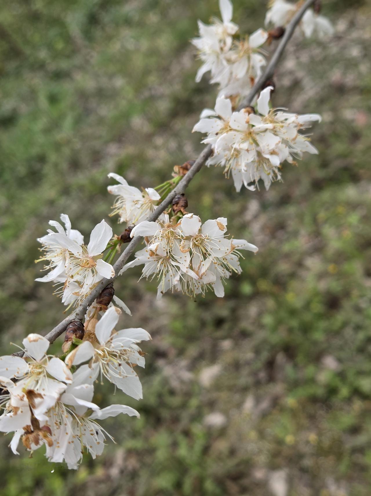 半夜不能耍手机，否则后果就是翻来覆去睡不着！

十点左右就哄娃睡觉，因为他嗨了一