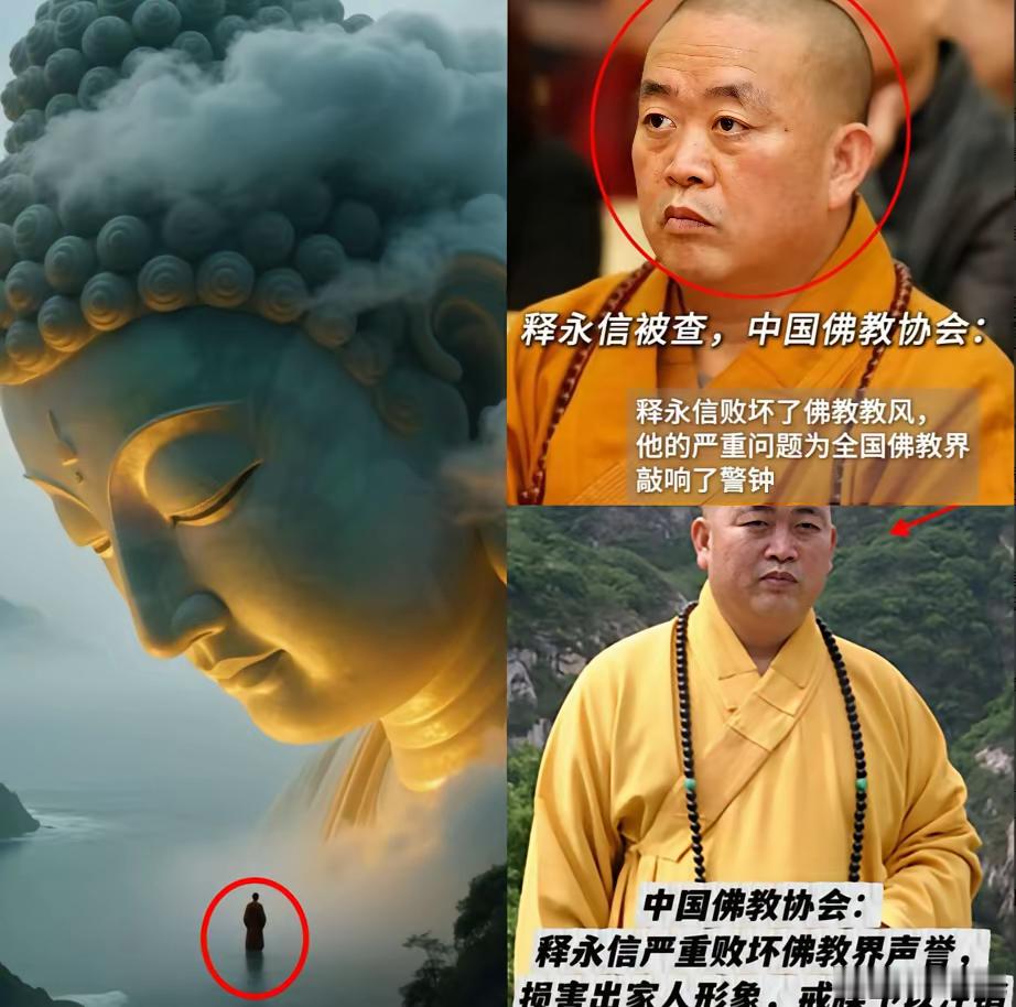 憋了十天，中国佛教协会又放大招了！ 原来注销释永信的戒牒只是第一步，比这个更狠的