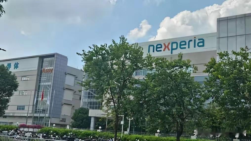 准备出手修理荷兰了
​商务部今天在回答记者的问题时，对荷兰政府发出了明确警告:荷