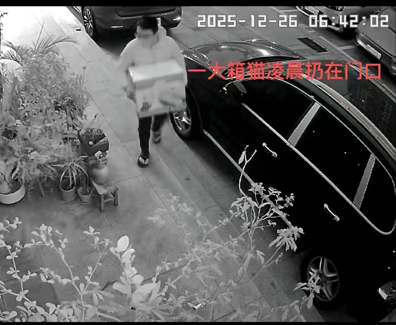 建军：说到抛弃，我在很小很小的时候就被抛弃了，我和我的兄弟姐妹一大群被装在一个烂