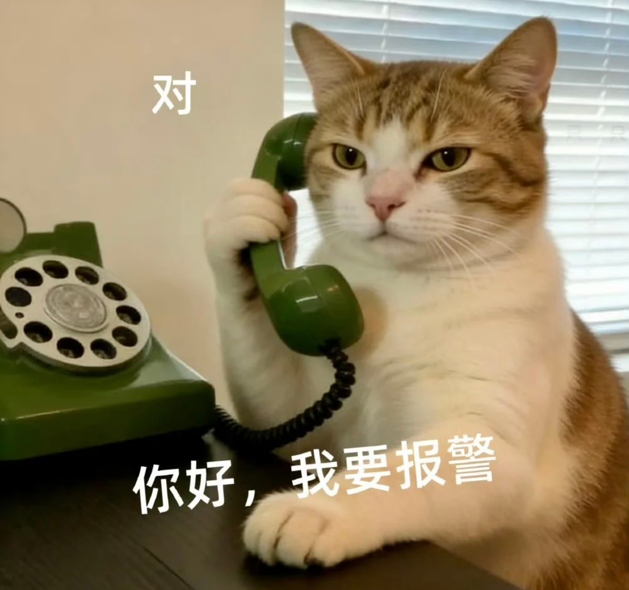 你可以心疼任何人，但是范丞丞好好玩游戏、通过自己的努力取得胜利，做错了0个事情，