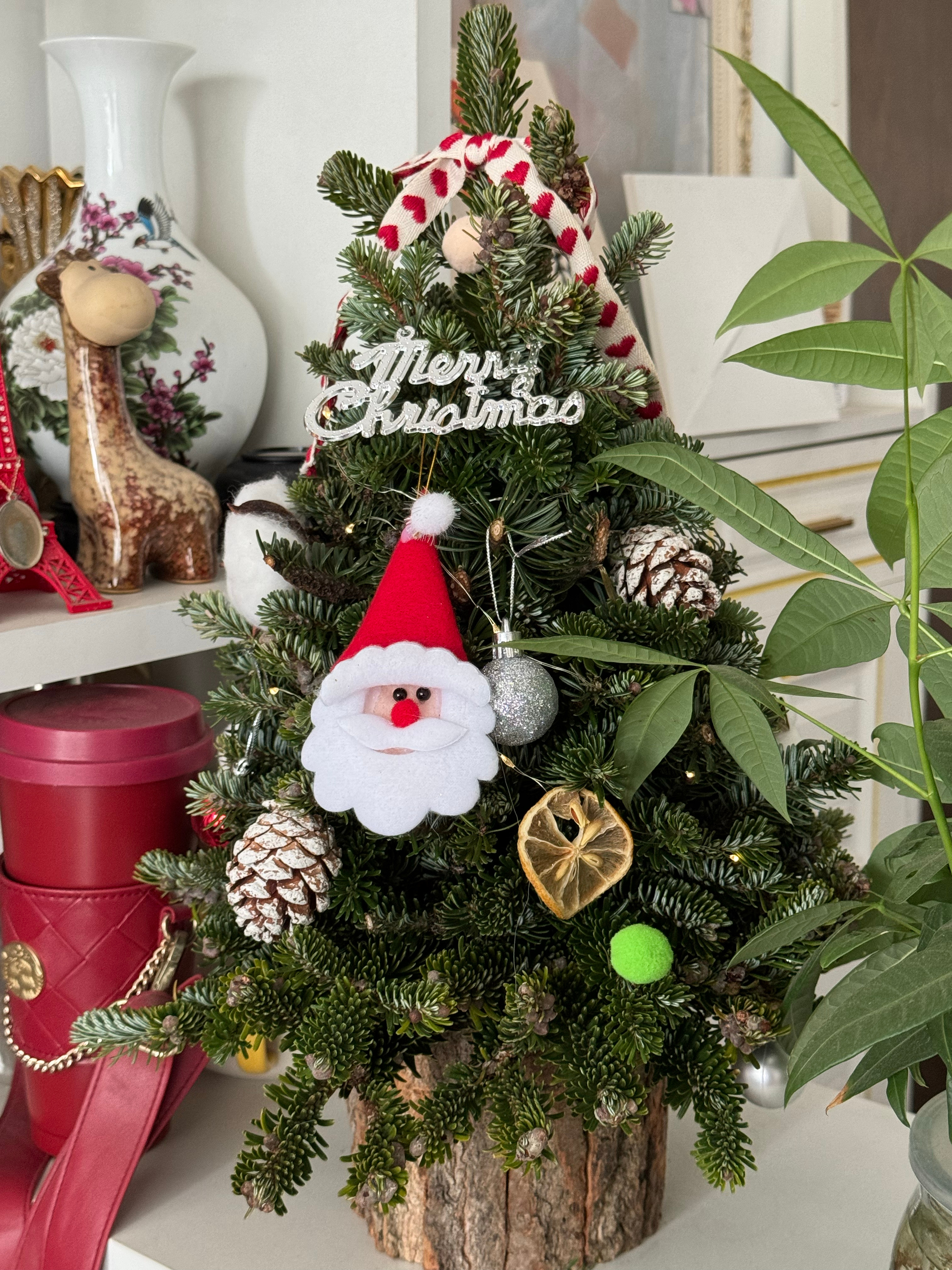 这个圣诞树🎄好漂亮啊！喜欢ing～ ​​​