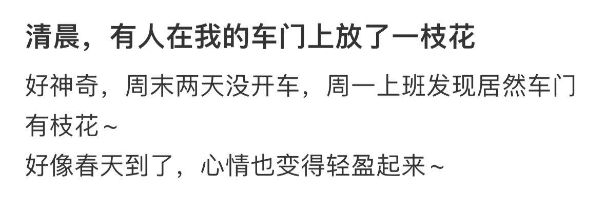 清晨，有人在我的车门上放了一枝花 