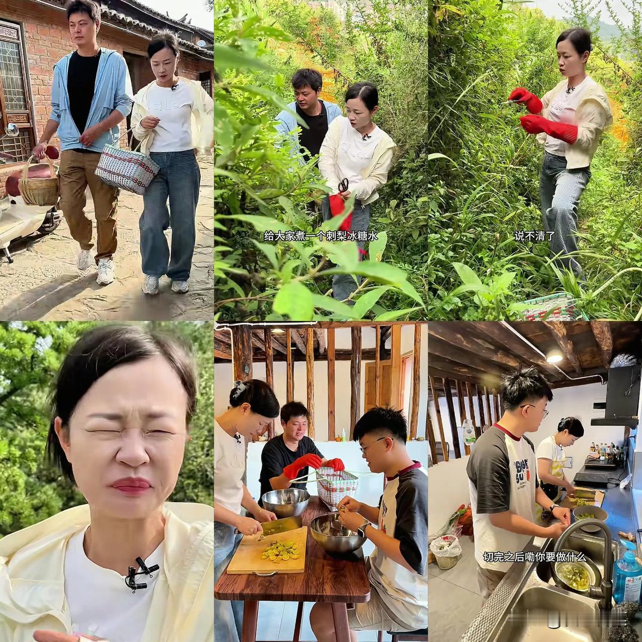 冷梅徐敏去山上摘刺梨！冷梅很能干啊，什么都会，性格好平时也很幽默。能够看出，徐永