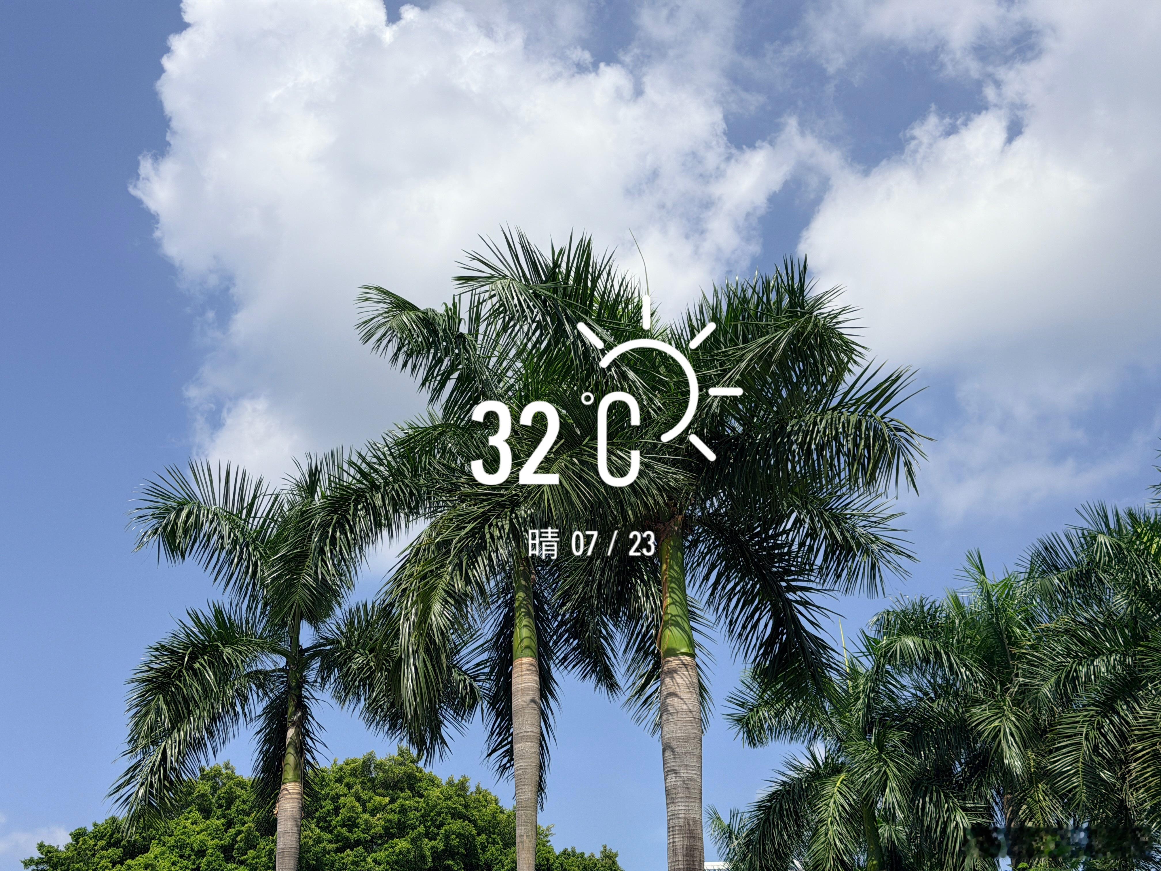 今年的盛夏 难得的晴天 
