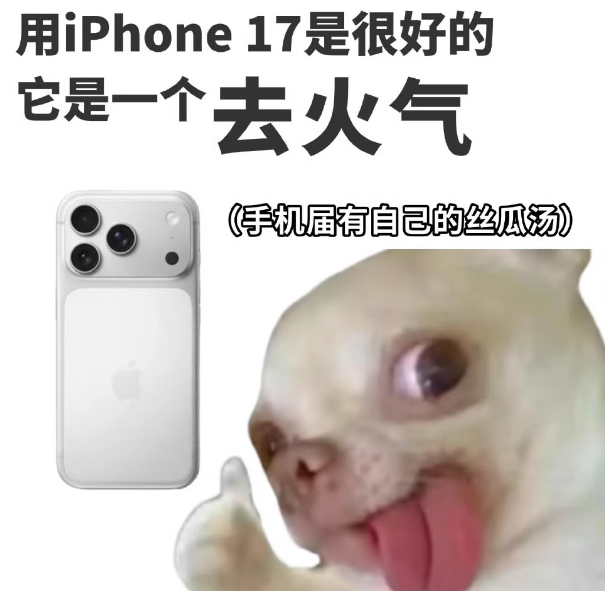 iPhone17Pro系列京东优惠1000怀疑你们真在我头顶装摄像头了！这把该到