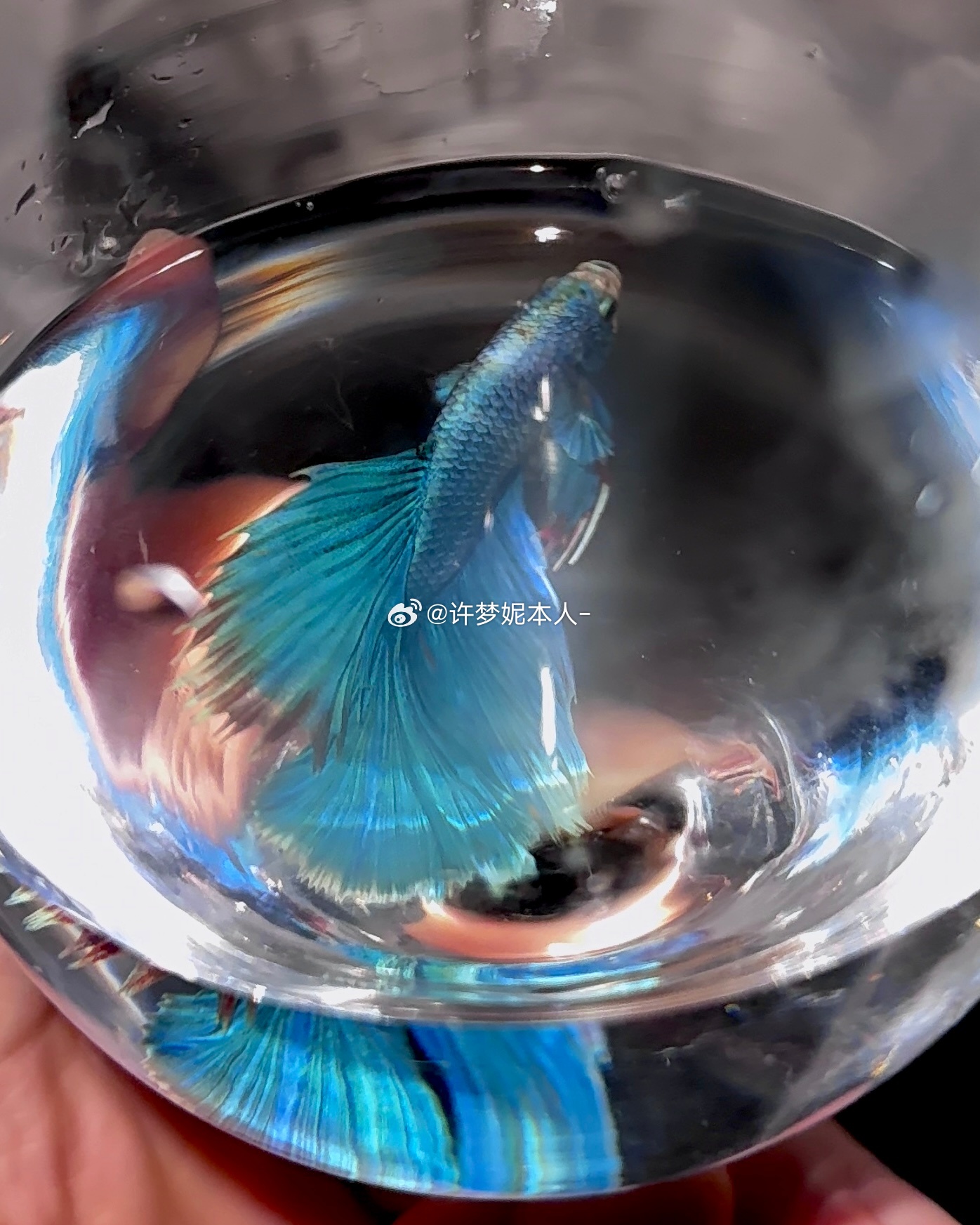 这么美那还说啥呢 