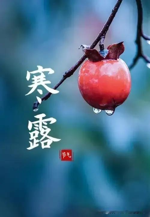 寒露来临：在凉风中寻找生命的温度

10月8号  今日寒露
袅袅凉风动，凄凄寒露