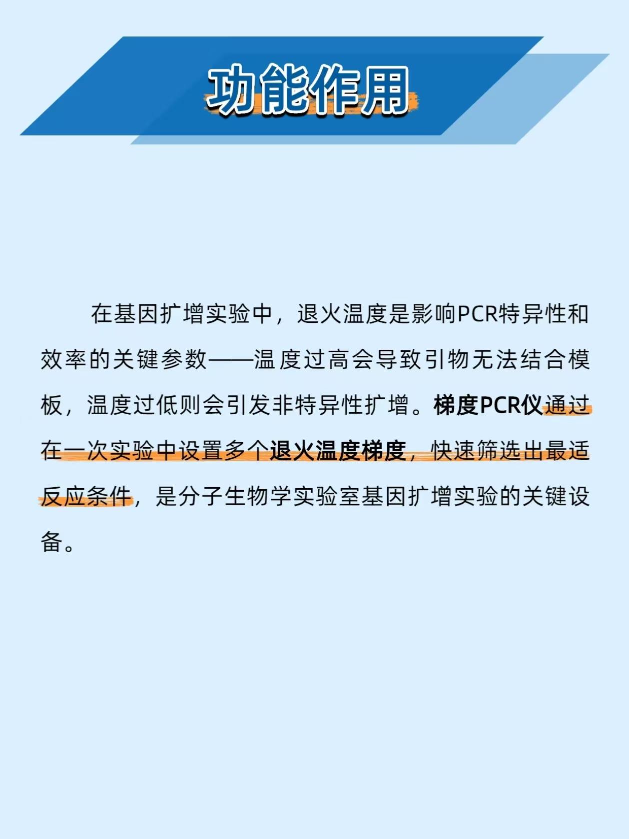 PCR 实验非特异条带满天飞？这仪器一次测 12 个温度，直接找到黄金退火点！