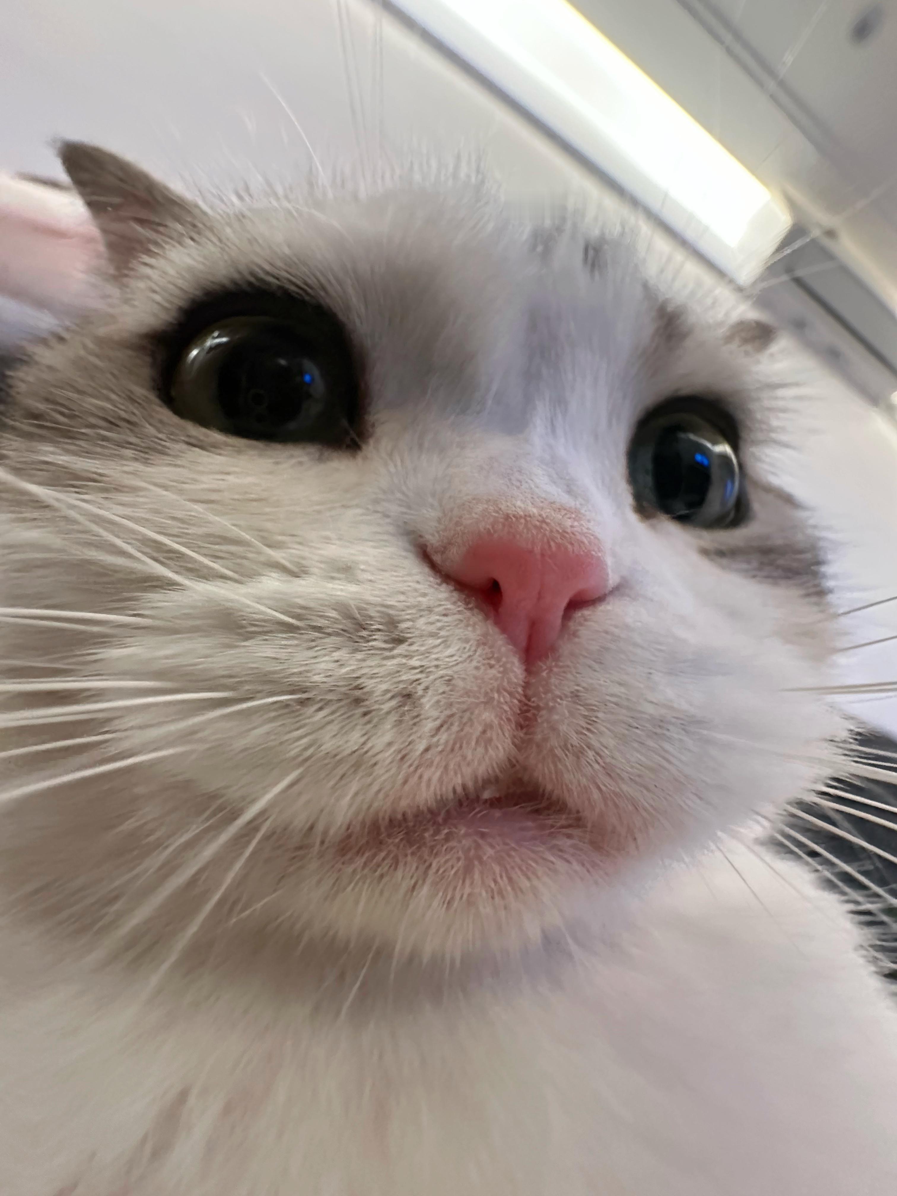 《今日要闻》 ​​​
