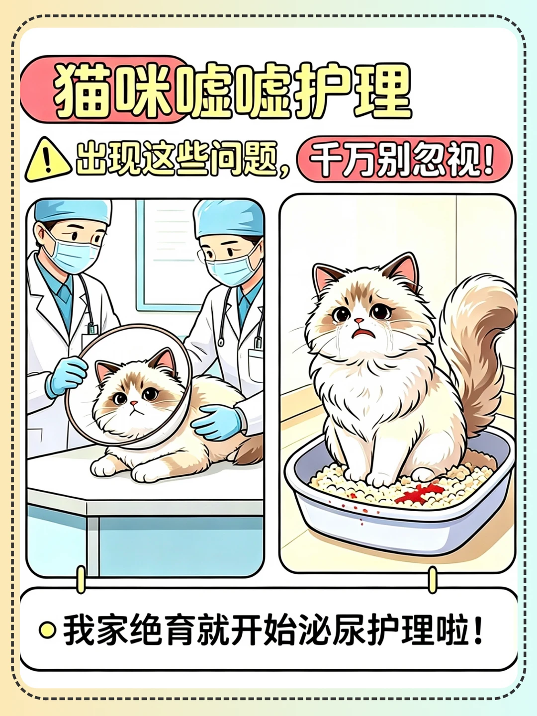 猫咪嘘嘘护理从绝育就开始！可别拖成🐤闭