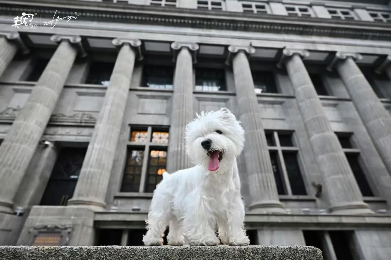 用一张图证明我是天津小孩儿🤩
【天津拍摄】