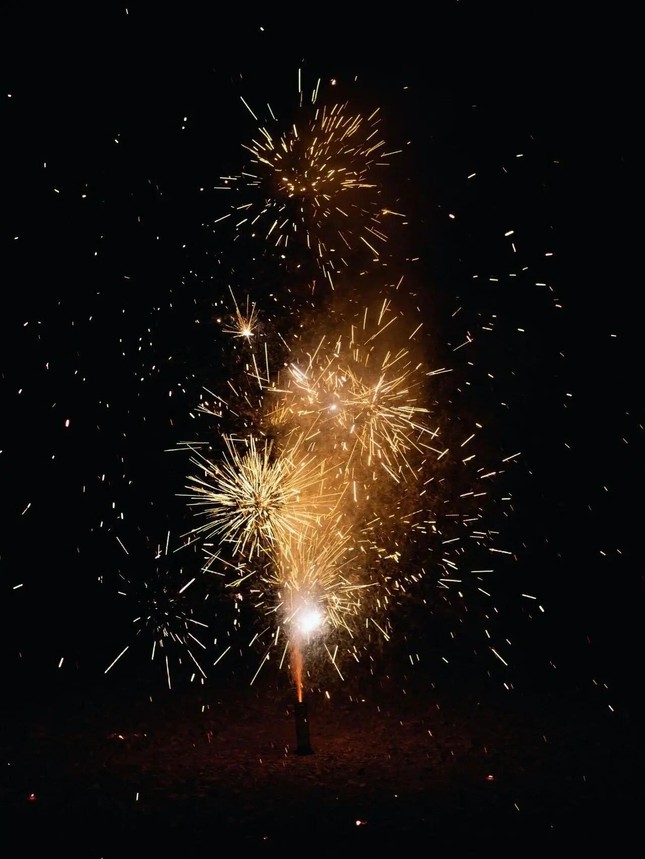 嘉熙年华，惟愿你百福并至，葳蕤生光。祝元旦快乐！