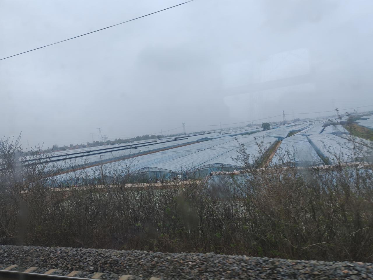 山东的寿光，青洲，昌乐等地，种地全靠棚，地面几乎全被塑料薄膜覆盖，浇地全靠井水，