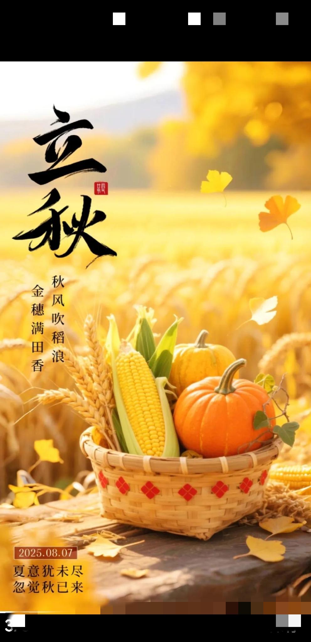 [玫瑰]今日立秋[玫瑰]
云天敛夏色，木叶动秋声。
暑热渐消弭，天高任翱翔。
果