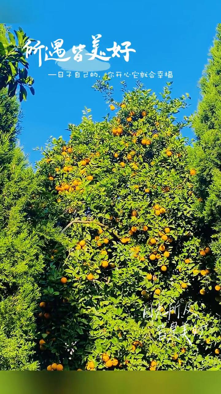 目光所及皆是美好，所遇皆美好。日子自己的，你开心它就会幸福。