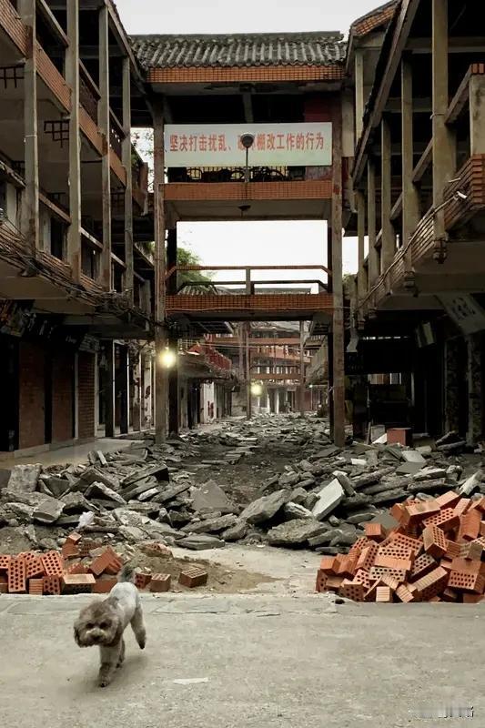 2025年12月13日06时52分，四川成都市彭州市附近（北纬31.39度，东经