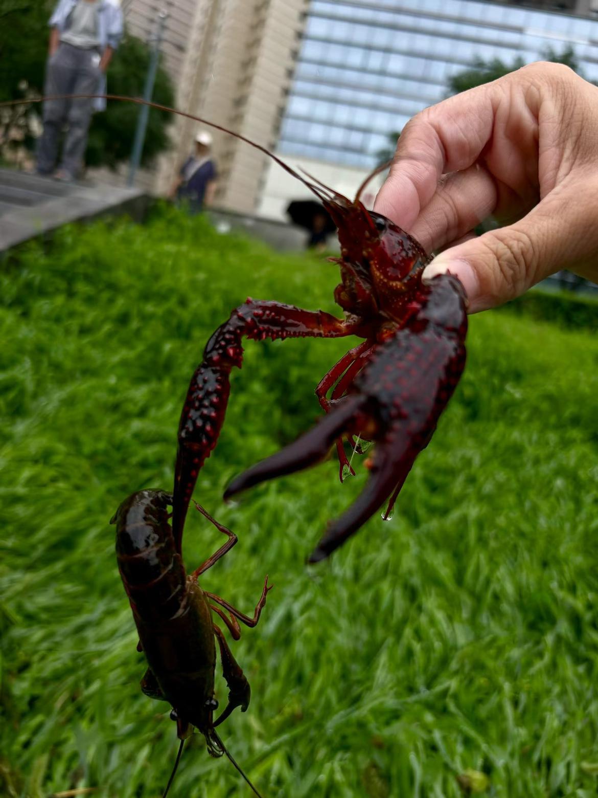 我的今日状态：😁轻松愉快
我这里的天气：☀️晴天