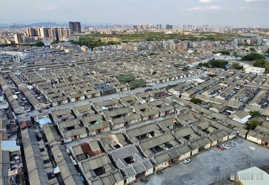 台湾青年岭南行是由广东省海峡两岸交流促进会联合多部门联合主办的两岸青年交流活动。