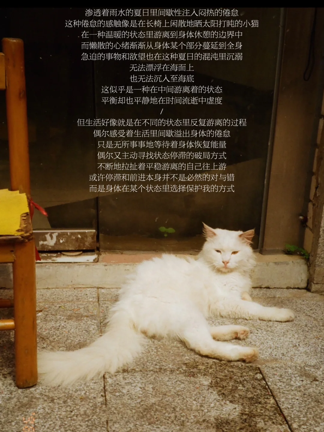 在间歇性疲惫的夏日，游离到身体休憩的边界。