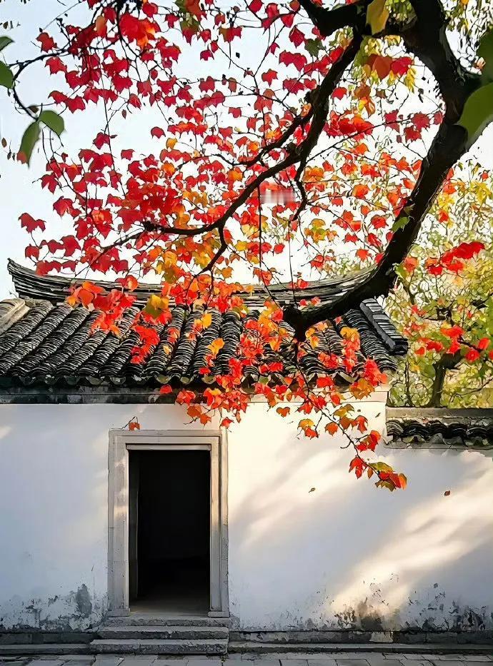 “ 人间秋色美如画，满树红叶胜春花 ...